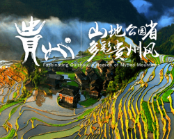 貴州省人民政府